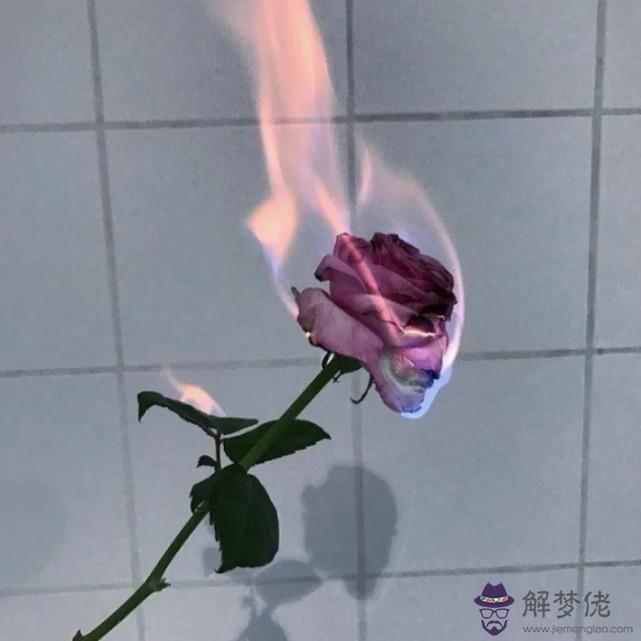 測你婚后是什麼命：測試自己屬于什麼命（金木水火土）