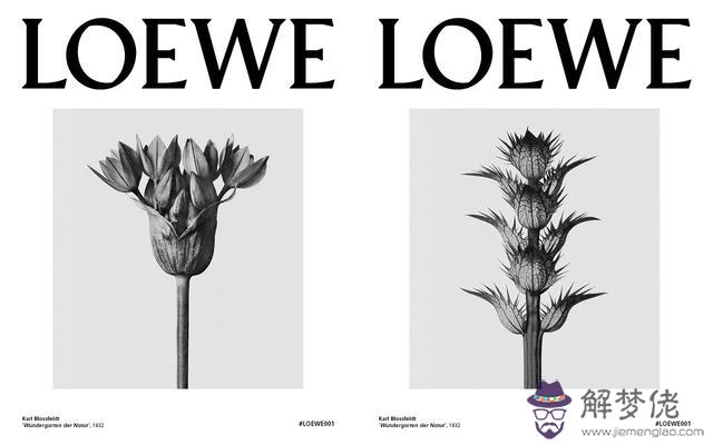 loewe香水:廣州哪里有Loewe羅意威的香水賣？