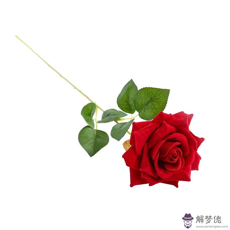 一束玫瑰花多少錢:一束玫瑰花大約多少錢 一般的