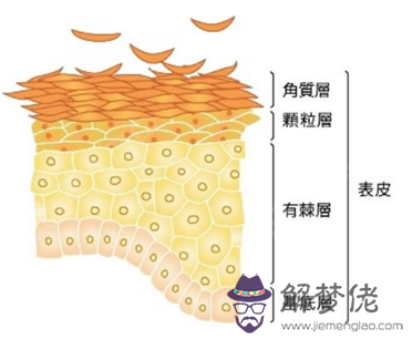 身上皮膚干燥怎麼辦:皮膚干燥起皮怎麼辦啊?