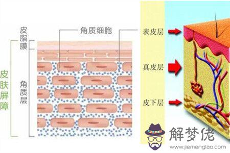 皮膚角質層薄怎麼修復:皮膚角質層薄自己復好嗎