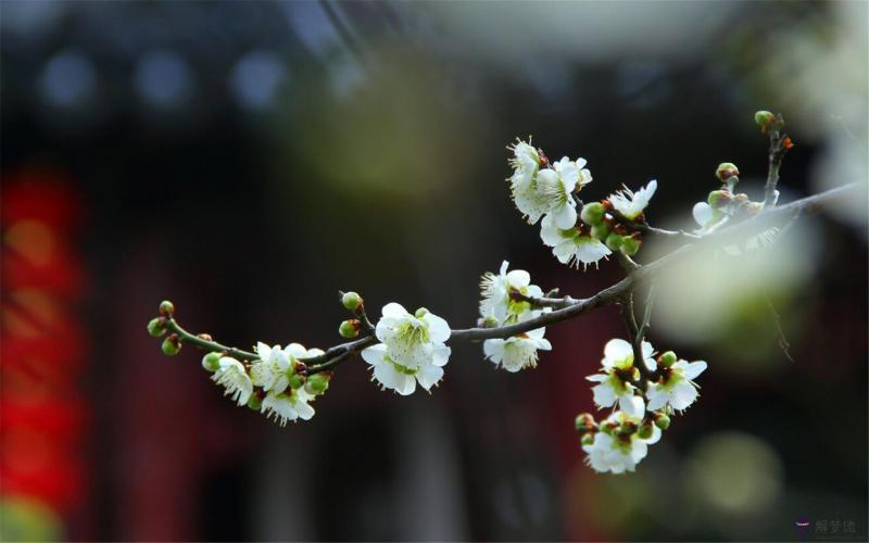 關于雨后的唯美句子:關于雨后美景的句子有哪些？