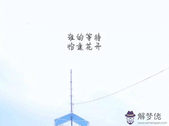 友誼短句八個字:描寫