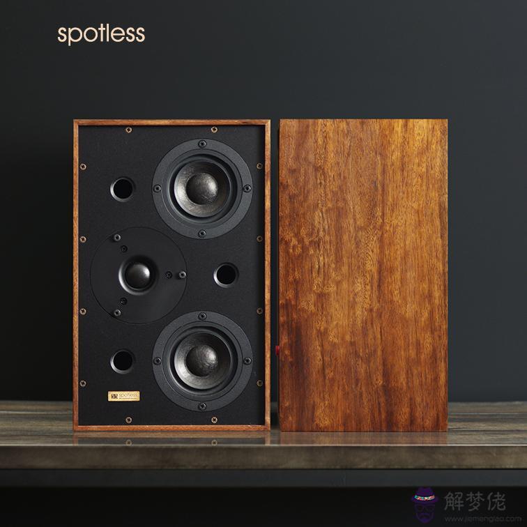 spotless:求Martin的spotless