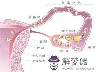 孕婦有炎癥怎麼辦:我懷孕一個月了，有婦科炎癥，我該怎麼辦