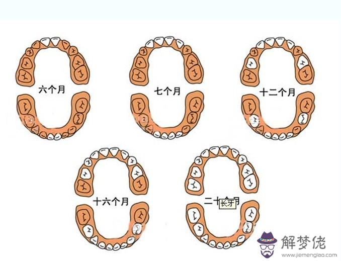 寶寶十個月了還沒長牙怎麼辦:寶寶十個月了還不長牙是怎麼回事啊？