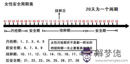 安全期怎麼算的:安全期計算的計算圖表