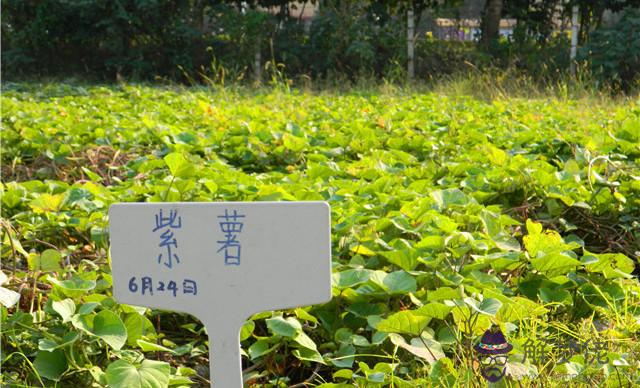 寧波團購網站大全:寧波有那些好的團購網