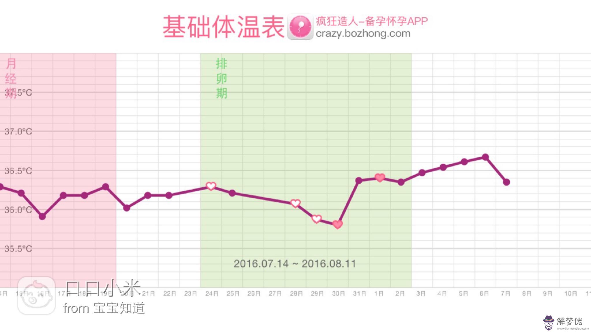 體溫變化圖:基礎體溫曲線圖