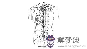 骶骨的準確位置圖:髂骨在哪個位置示意圖