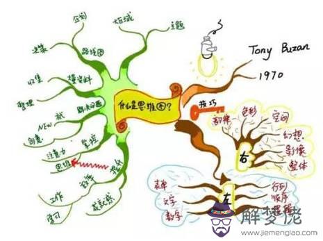 情商是左腦還是右腦:左腦與右腦哪個控制智商，那個控制情商？