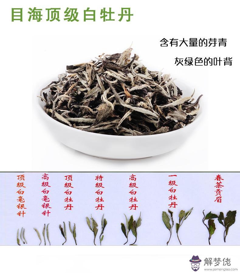 福鼎白茶的泡法:泡福鼎白茶的水溫