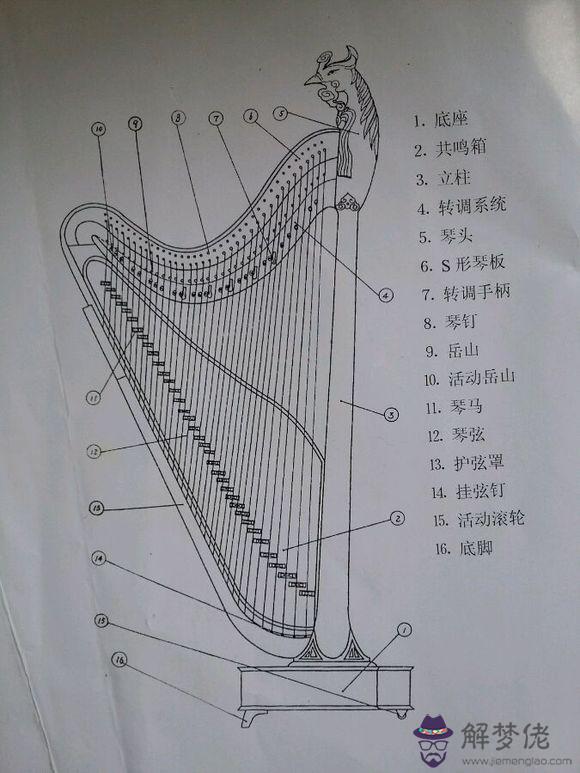 一架箜篌多少錢:哪兒可以學習鳳首箜篌？培養一個箜篌人得需要多少資金啊？