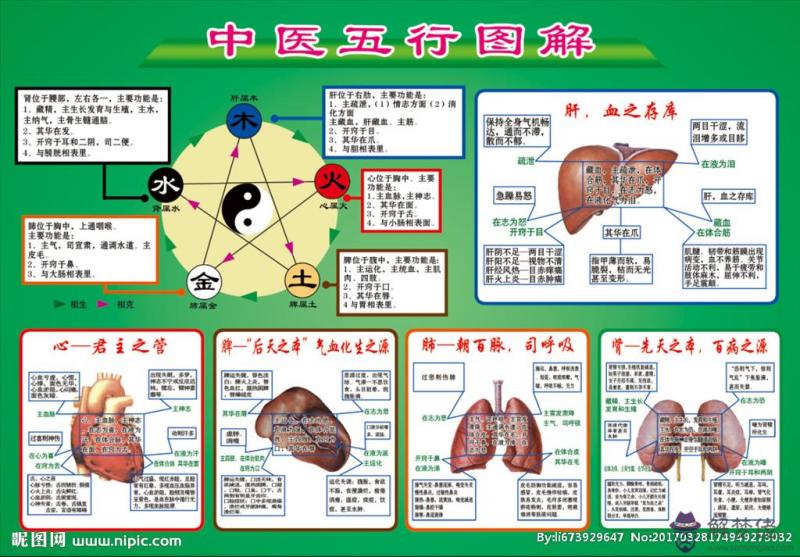 出生日期查五行:在線出生日期算五行