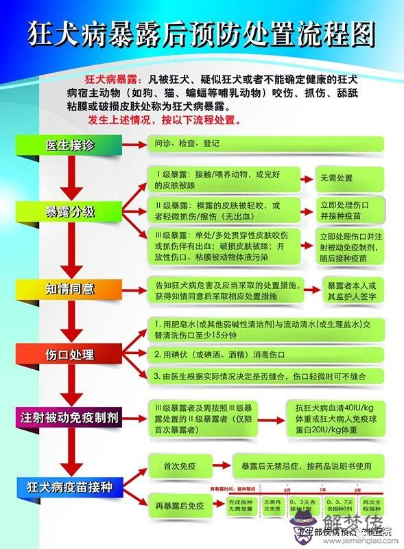 21歲屬什麼生肖:女，21歲，數狗，配什麼屬相的人在一起好？