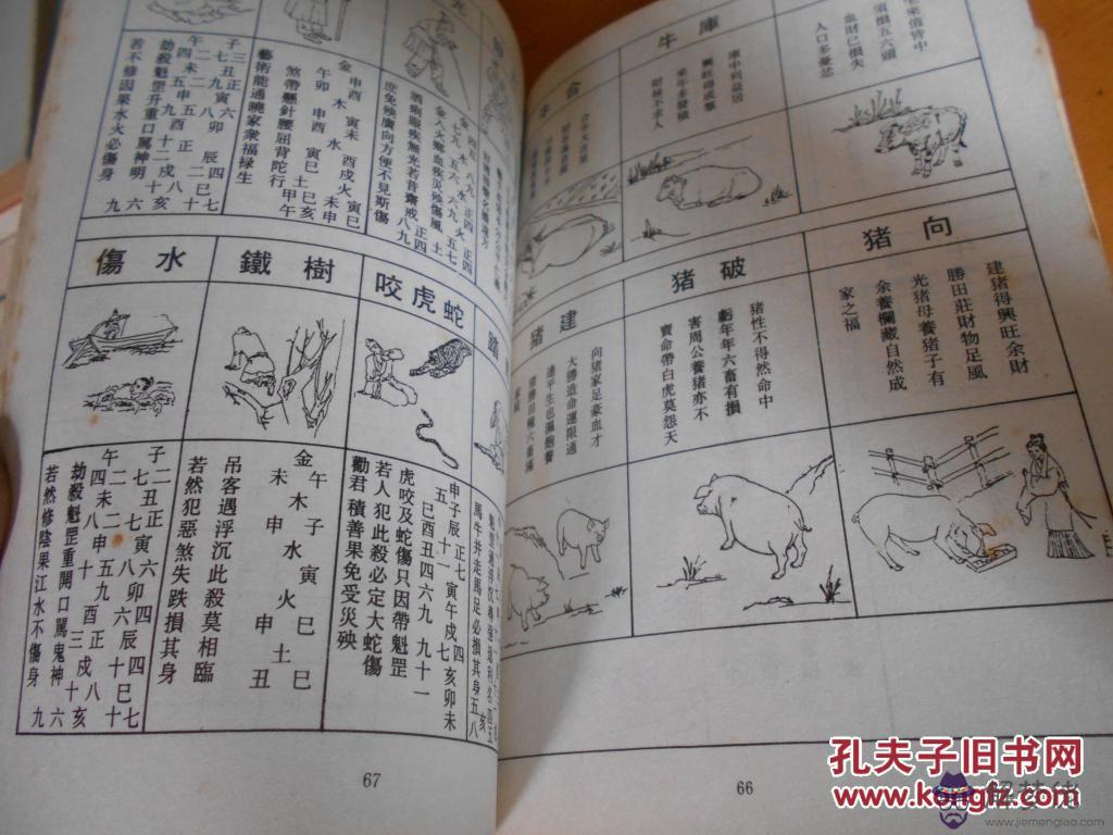 【三算命】書算婚姻子息 論夫妻相：臨官；夫妻要吉昌，隔水隔山崗，縱然無刑克，也忌有災殃。 論