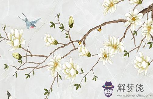 八字命帶桃花的女人特征,八字時辰看桃花