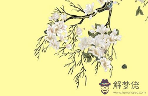 女命中有4朵正緣桃花,命中帶有幾朵正緣桃花好