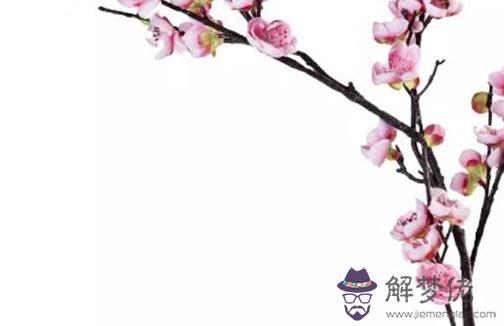 2022有婚運八字,什麼樣的屬相會有正桃花